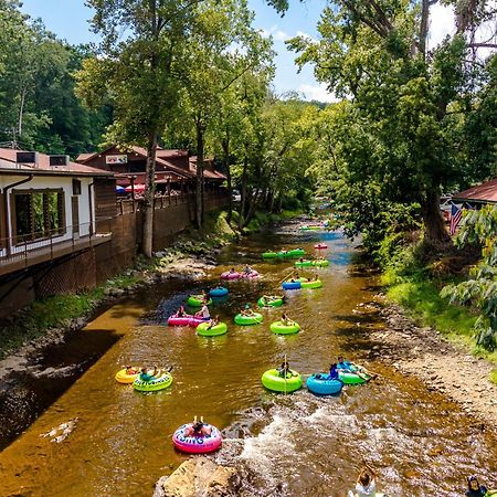 Sautee Nacoochee Four Cubs In The Creekヴィラ エクステリア 写真