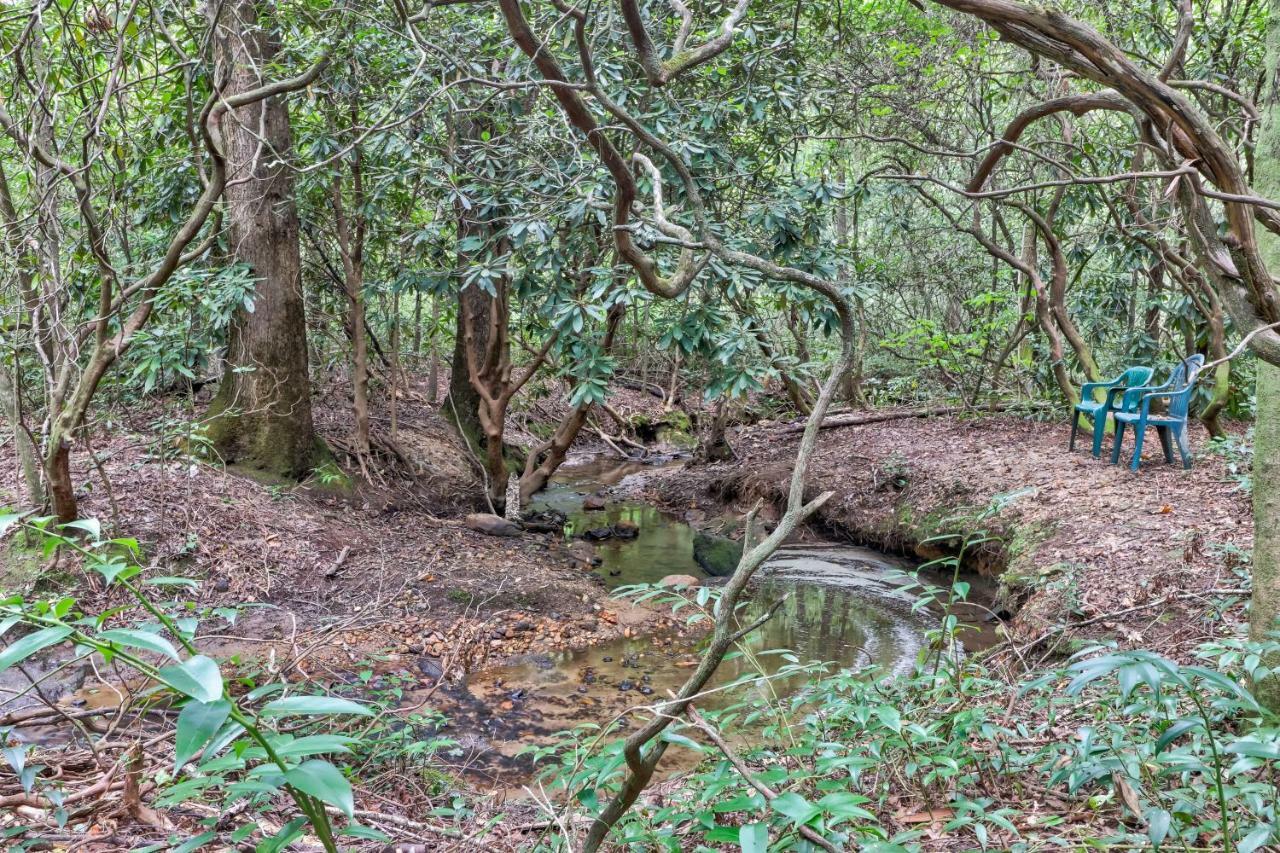 Sautee Nacoochee Four Cubs In The Creekヴィラ エクステリア 写真