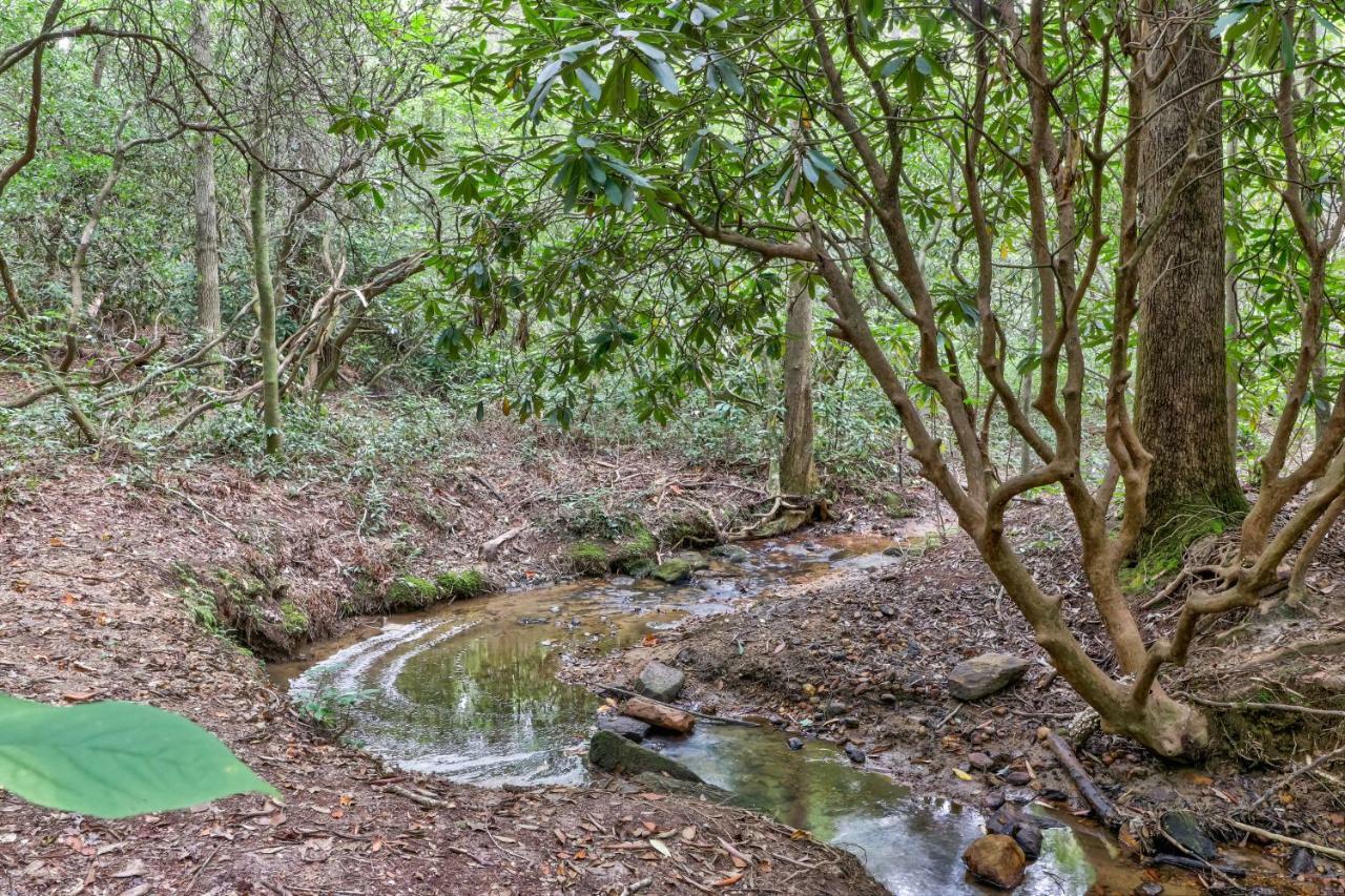 Sautee Nacoochee Four Cubs In The Creekヴィラ エクステリア 写真